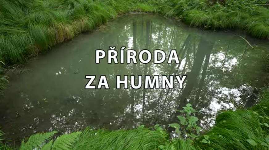 Ekofilm – Příroda za humny