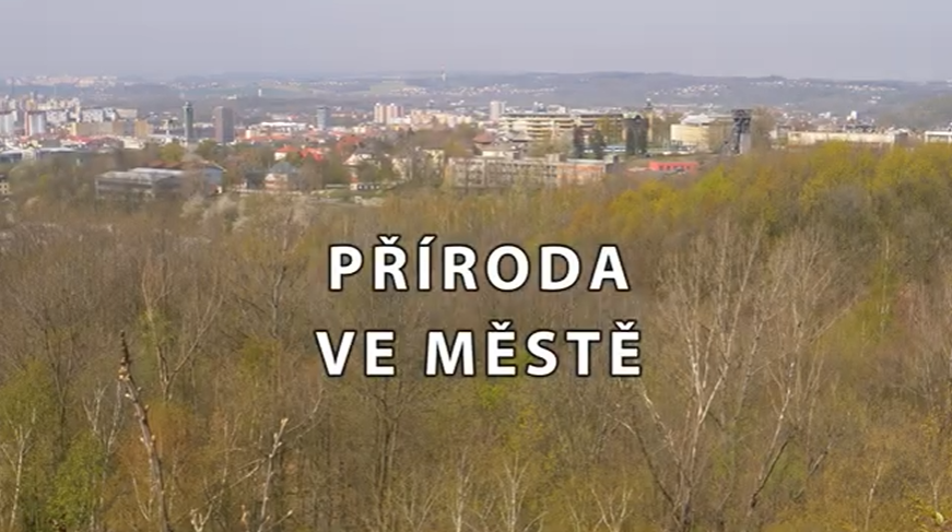 Ekofilm – Příroda ve městě